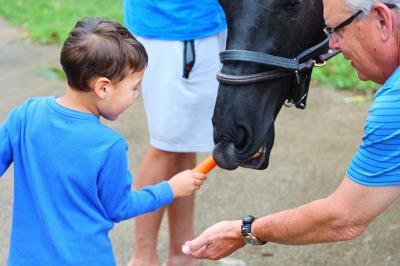 American Saddlebred Museum Family Day